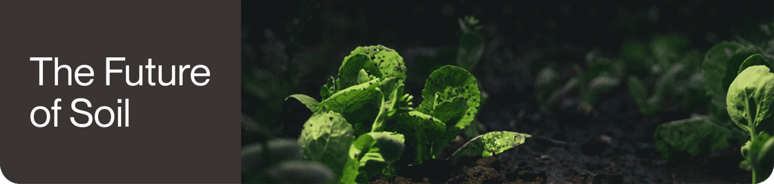 Graphics - Dec 2025-30