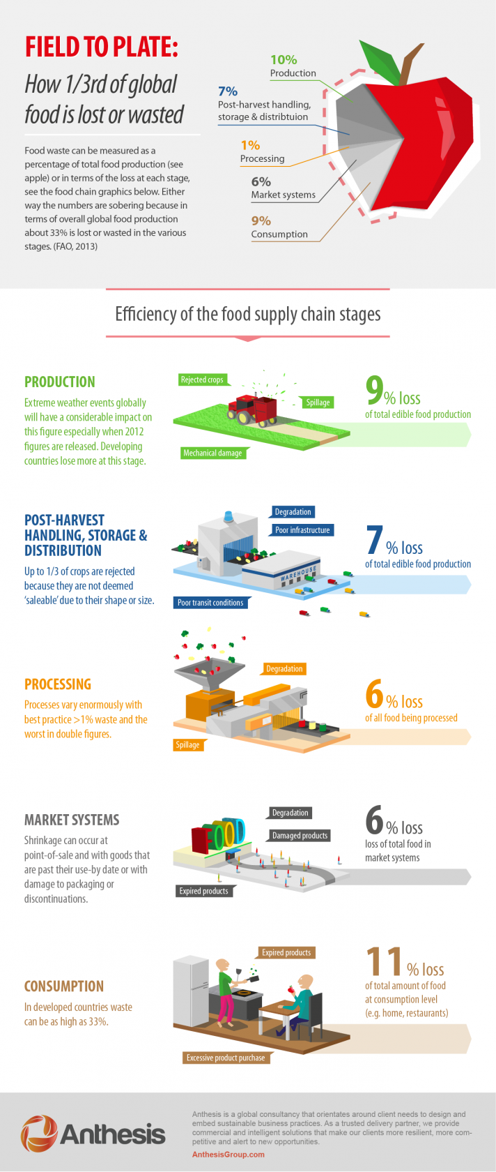 infographic of efficiency of food supply chain stages