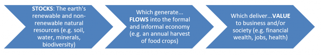 a model of environmental stocks flows and value