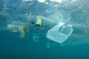 Plastic-pollution-in-ocean