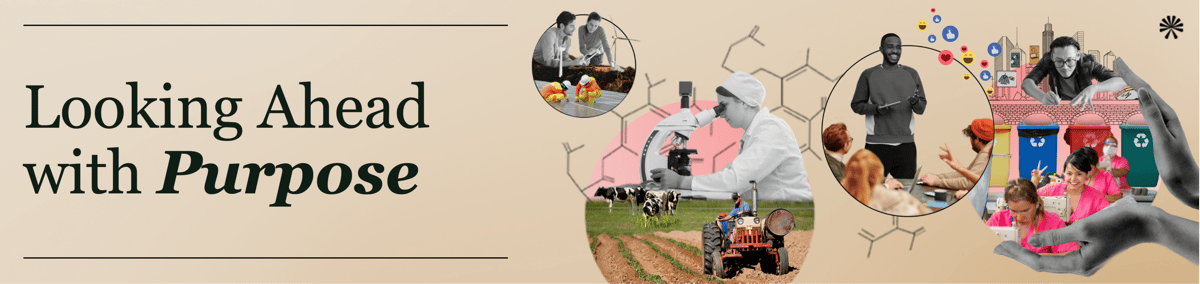 anthesis banner xmas 25-1